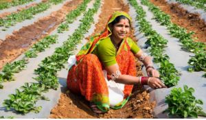 lady farmer