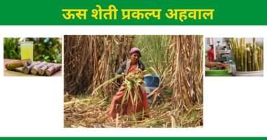 ऊस शेती प्रकल्प अहवाल