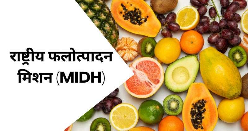 राष्ट्रीय फलोत्पादन मिशन(MIDH)