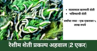 रेशीम शेती