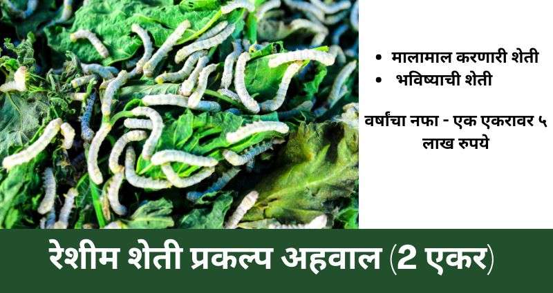 रेशीम शेती
