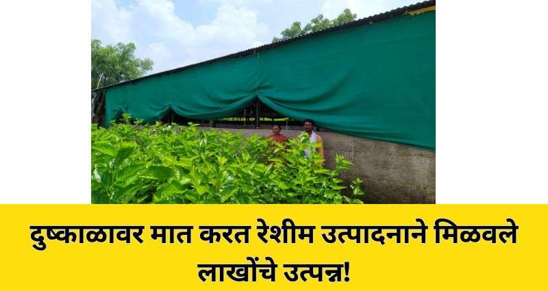 SUCCESS STORY OF SHRI RAKHMAJI KISAN SHELKE