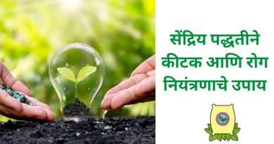 रोग नियंत्रणाचे उपाय