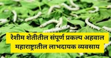 रेशीम शेती