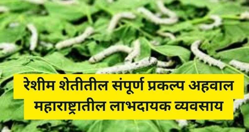 रेशीम शेती