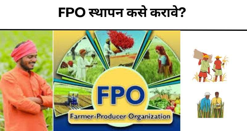FPO-कृषी उत्पादक संघटना