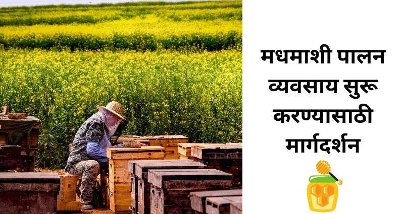 Honey Bee Farming