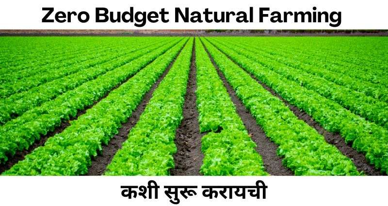 Zero Budget Natural Farming