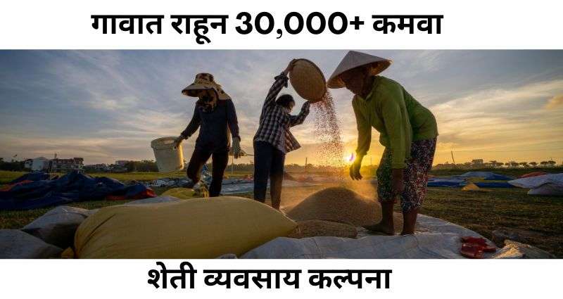 कृषी व्यवसाय कल्पना