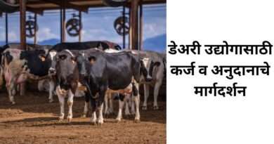 डेअरी फार्मिंगसाठी कर्ज