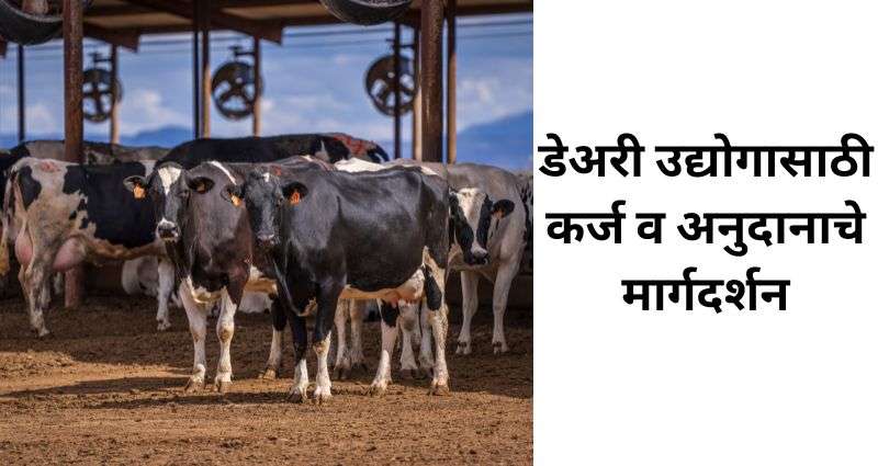 डेअरी फार्मिंगसाठी कर्ज
