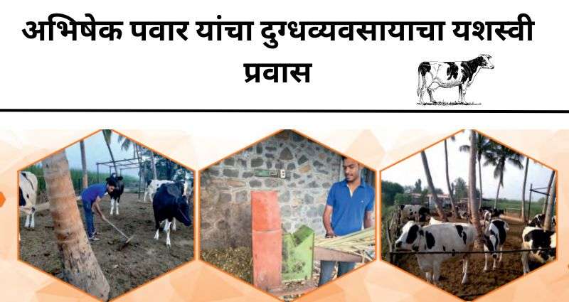 दुग्धव्यवसायाचा यशस्वी प्रवास