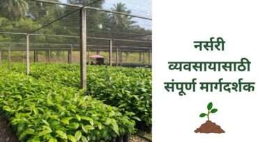 नर्सरी प्रकल्प