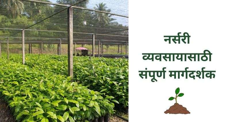 नर्सरी प्रकल्प
