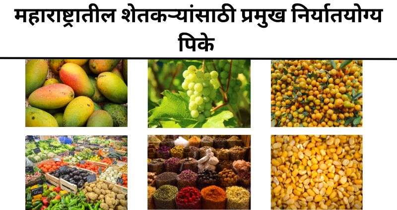 निर्यात संधी