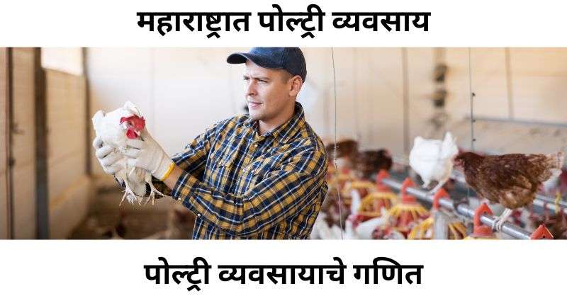 पोल्ट्री फार्मिंग