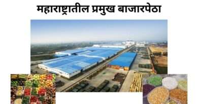महाराष्ट्रातील बाजारपेठा