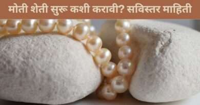 मोती शेती