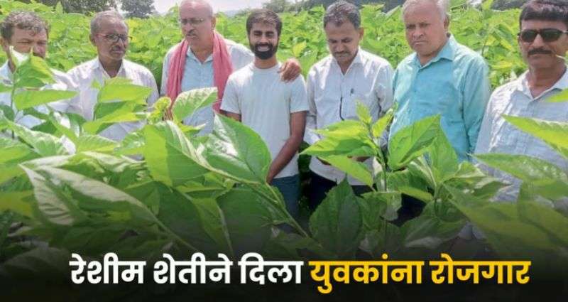 युवकांना रोजगार