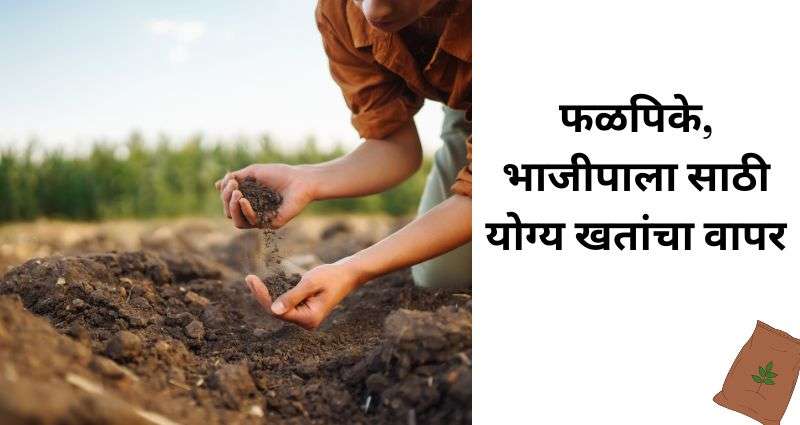 सर्वोत्तम खते