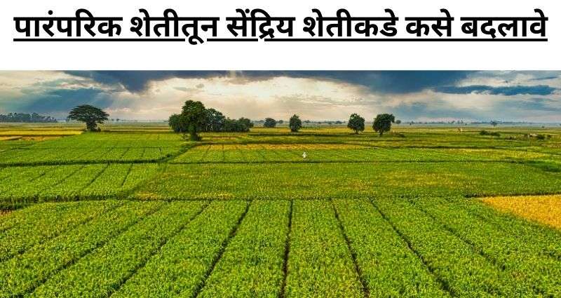 सेंद्रिय शेतीकडे कसे बदलावे