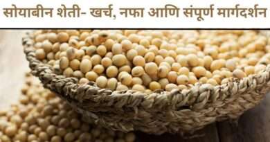 सोयाबीन शेती