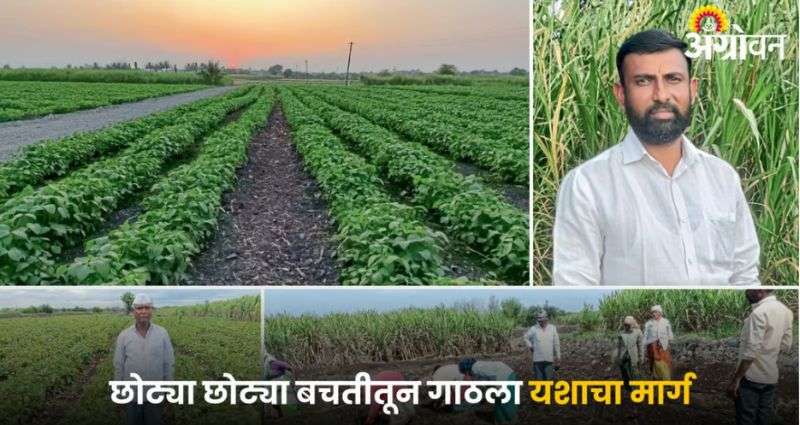Soybean Farming Success Story