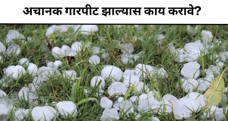 गारपीट झाल्यास काय करावे