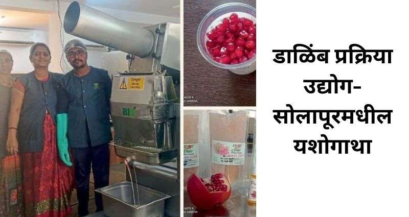 डाळिंब प्रक्रिया उद्योग