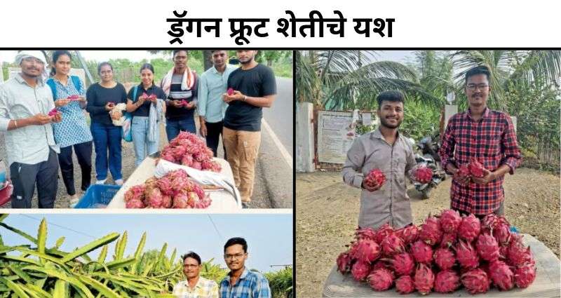 ड्रॅगन फ्रूट शेतीचे यश