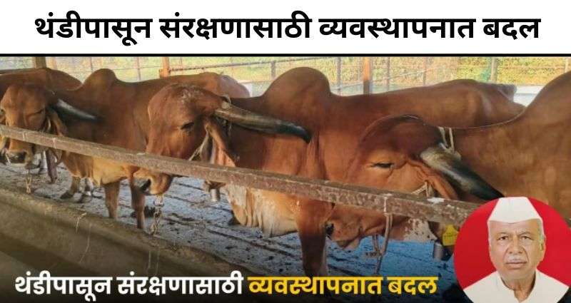 थंडीपासून संरक्षणासाठी व्यवस्थापनात बदल