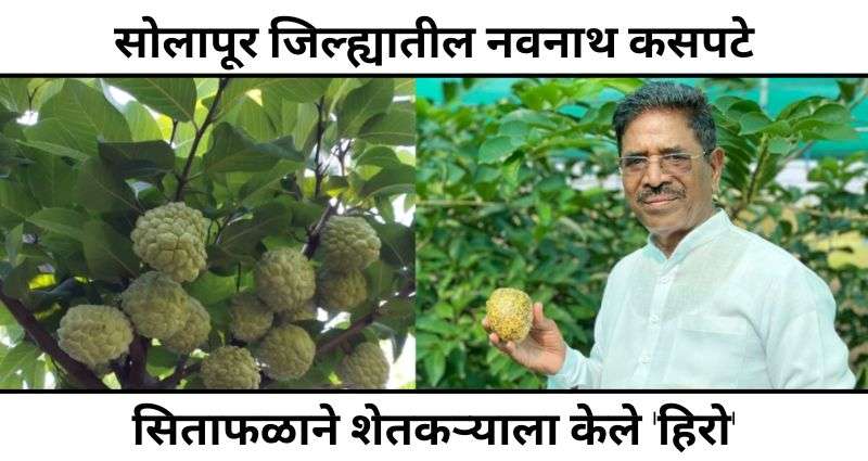नवनाथ कसपटे