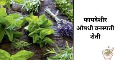फायदेशीर औषधी वनस्पती शेती