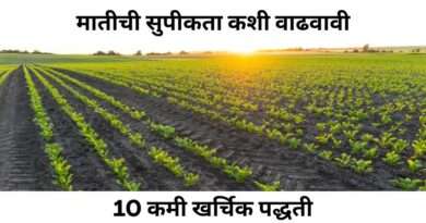 मातीची सुपीकता कशी वाढवावी