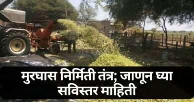 मुरघास निर्मिती