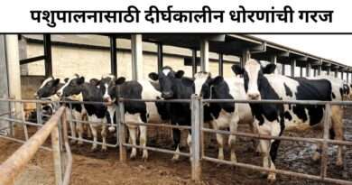 Animal Husbandry