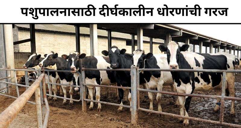 Animal Husbandry