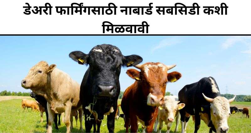 NABARD Subsidy