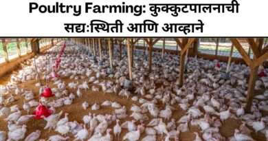 Poultry Farming