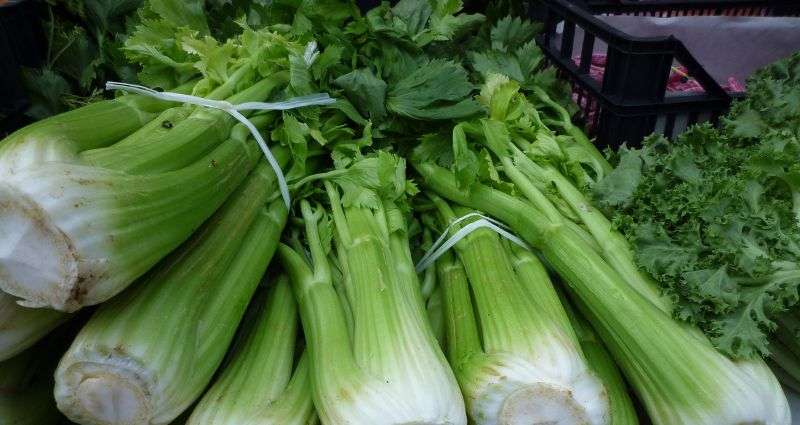 celery