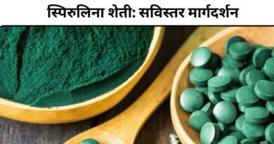 spirulina farming