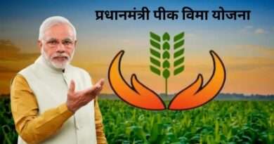 फळपीक विमा योजना