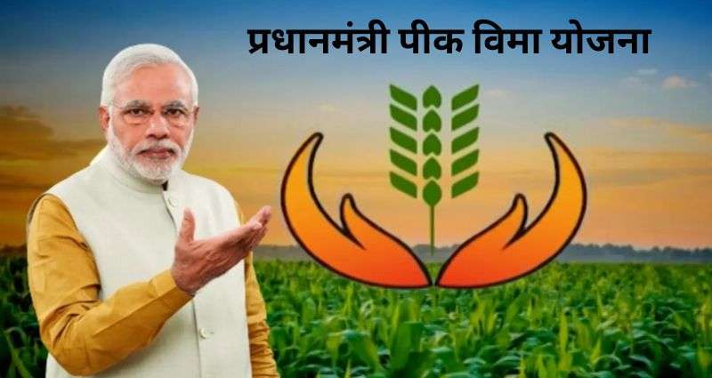 फळपीक विमा योजना
