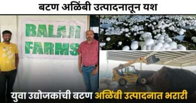 बटण अळिंबी शेती