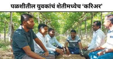 युवकांचं शेतीमध्येच ‘करिअर’