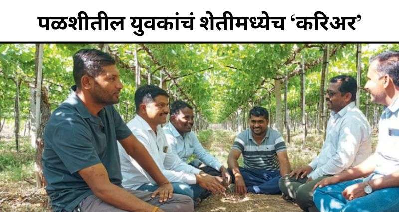 युवकांचं शेतीमध्येच ‘करिअर’