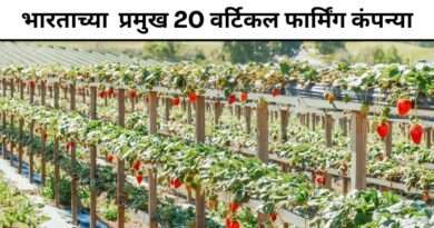वर्टिकल फार्मिंग कंपन्या
