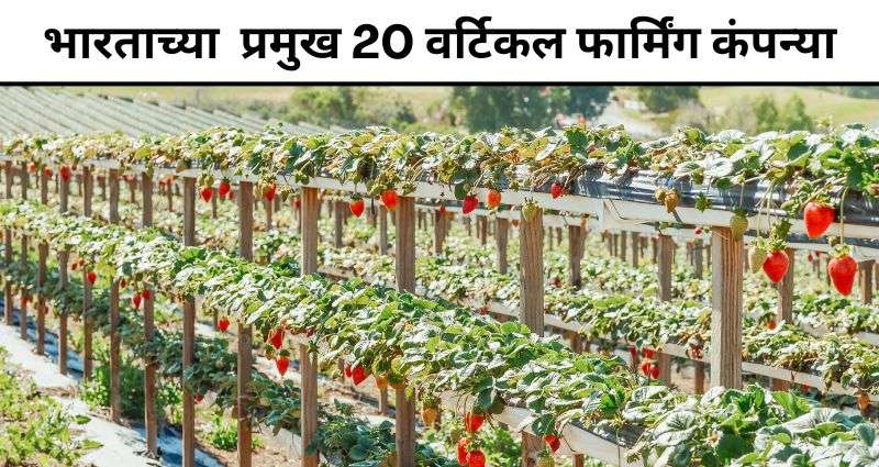 वर्टिकल फार्मिंग कंपन्या