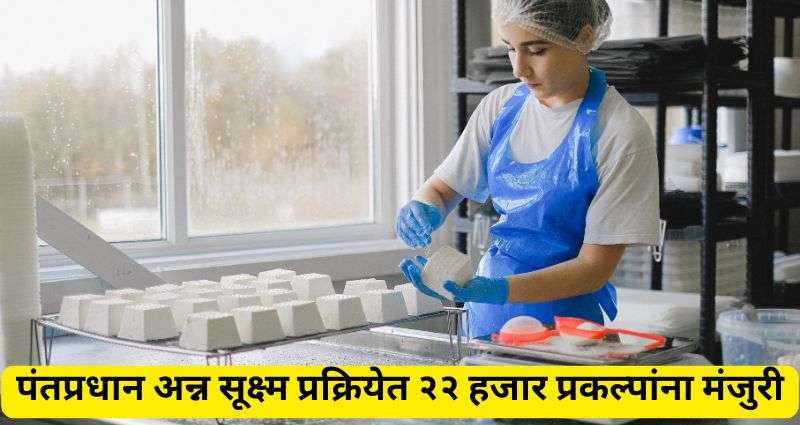 Food Processing Scheme