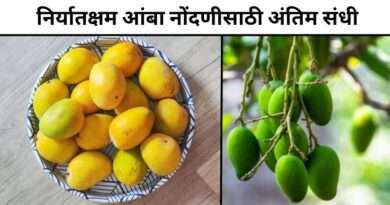 Mango Registration